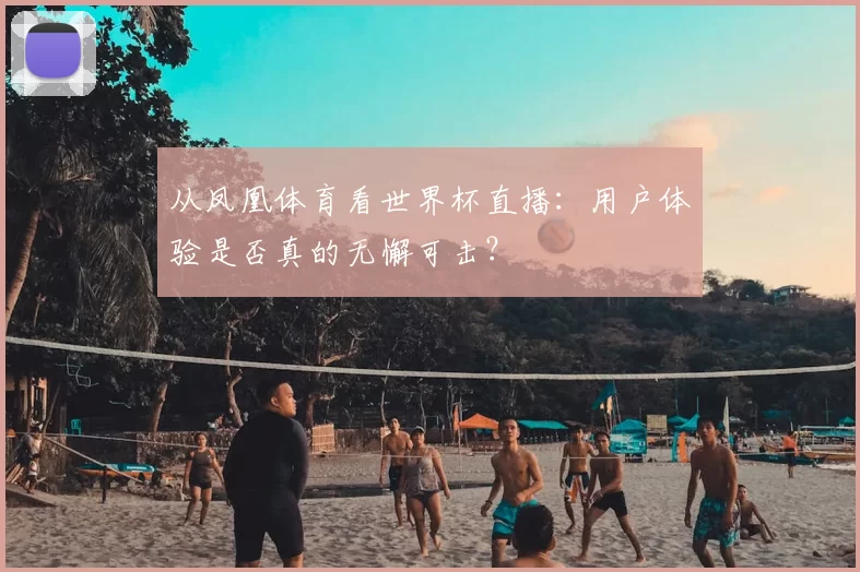 从凤凰体育看世界杯直播：用户体验是否真的无懈可击？