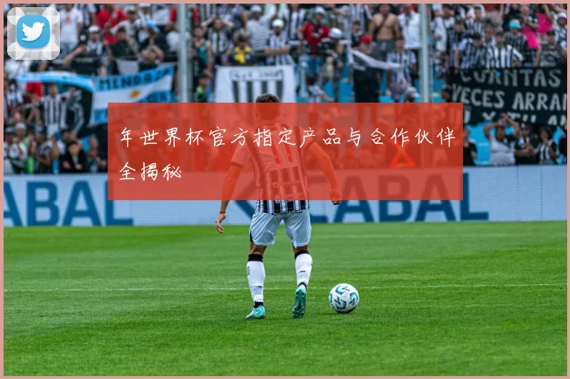 年世界杯官方指定产品与合作伙伴全揭秘