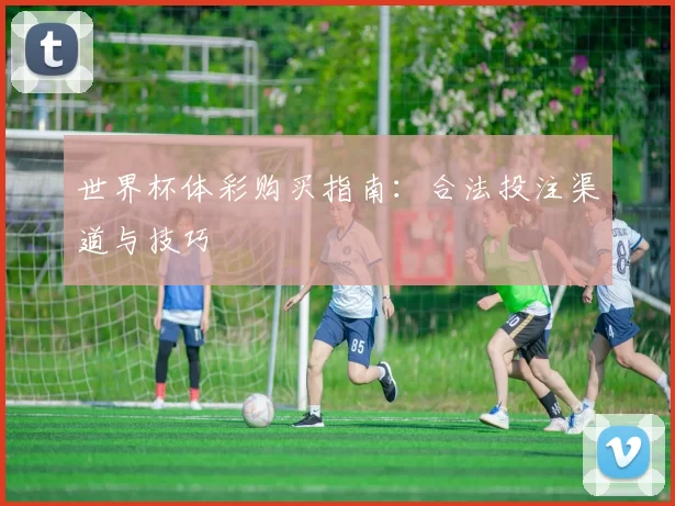 世界杯体彩购买指南:合法投注渠道与技巧