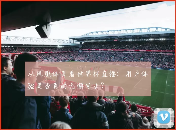 从凤凰体育看世界杯直播：用户体验是否真的无懈可击？