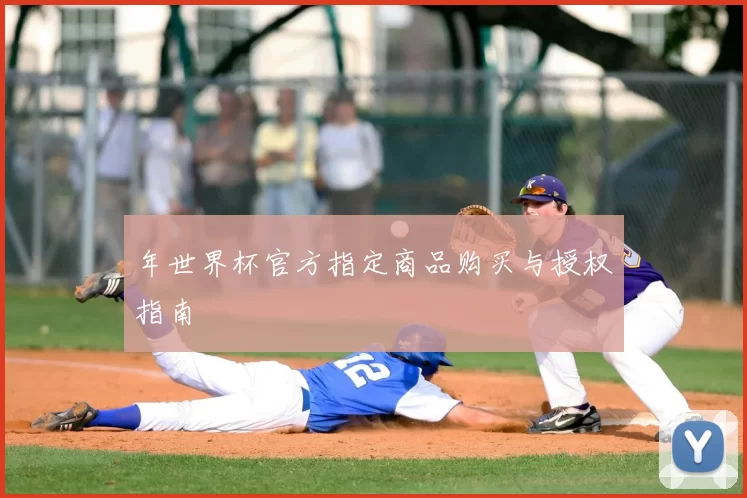 年世界杯官方指定商品购买与授权指南